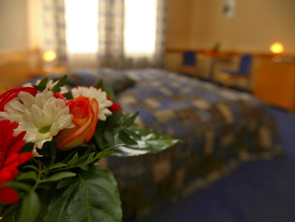 Hotel Hejtman プラハ 部屋 写真